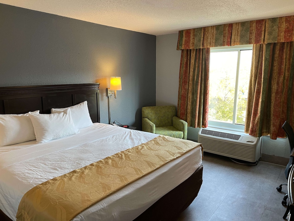 Standard Room, 1 King Bed, Accessible, Refrigerator & Microwave - Photo 1