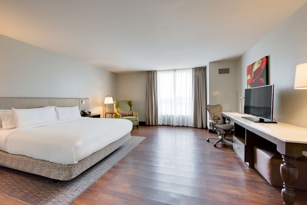 Room, 1 King Bed, Accessible (Roll In Shower)