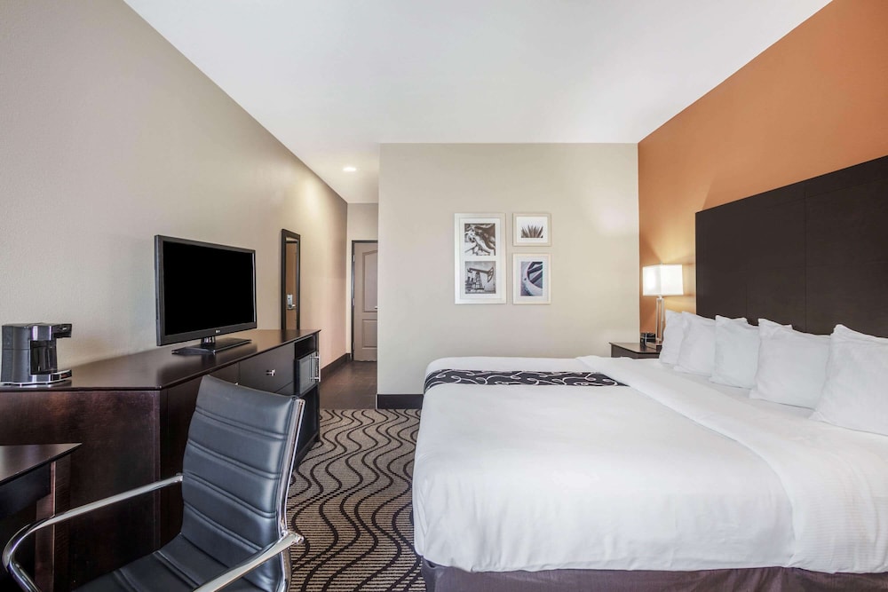 Room, 1 King Bed, Accessible, Non Smoking (Mobility,Hearing,Roll-In Shower) photo 1
