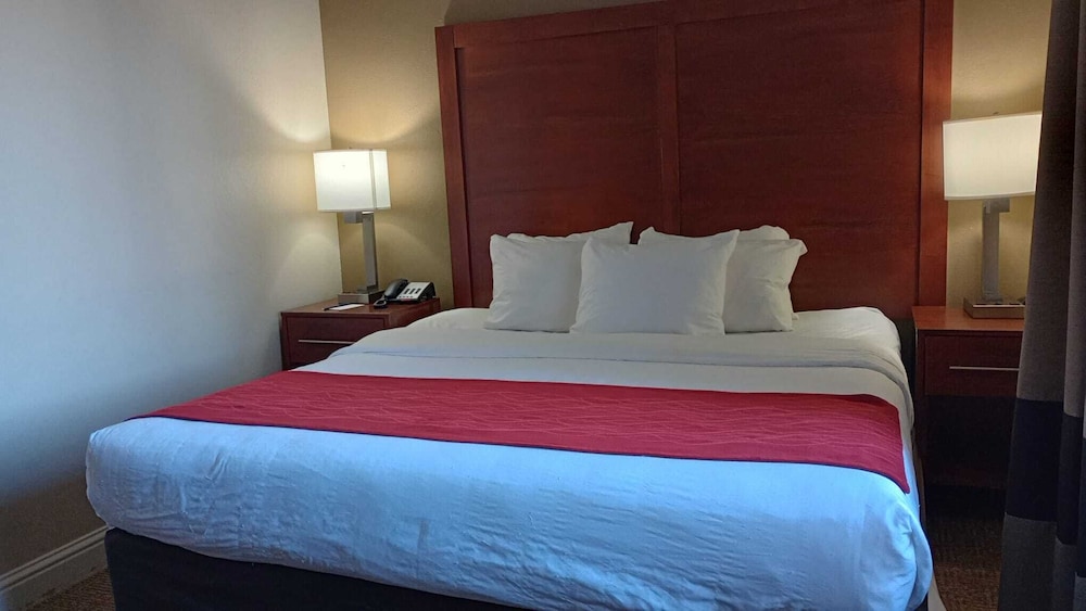 Basic Room, 1 King Bed - Photo 6