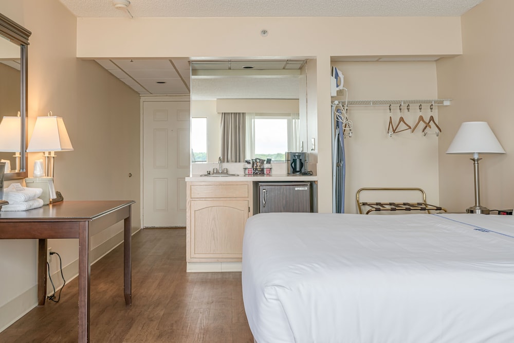 Room, 1 King Bed with Sofa bed, Kitchenette