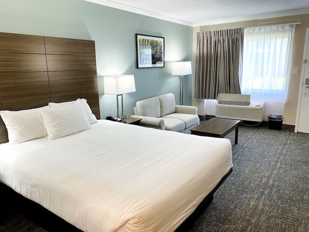 Premium Single Room, 1 Queen Bed, Ground Floor