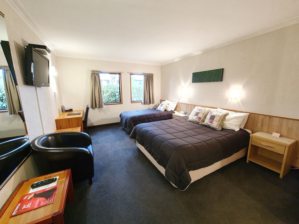 Basic Studio, Multiple Beds photo 1