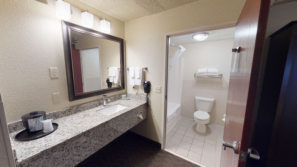 Premier Suite, 1 King Bed, Non Smoking (One-Bedroom Suite) - Photo 7