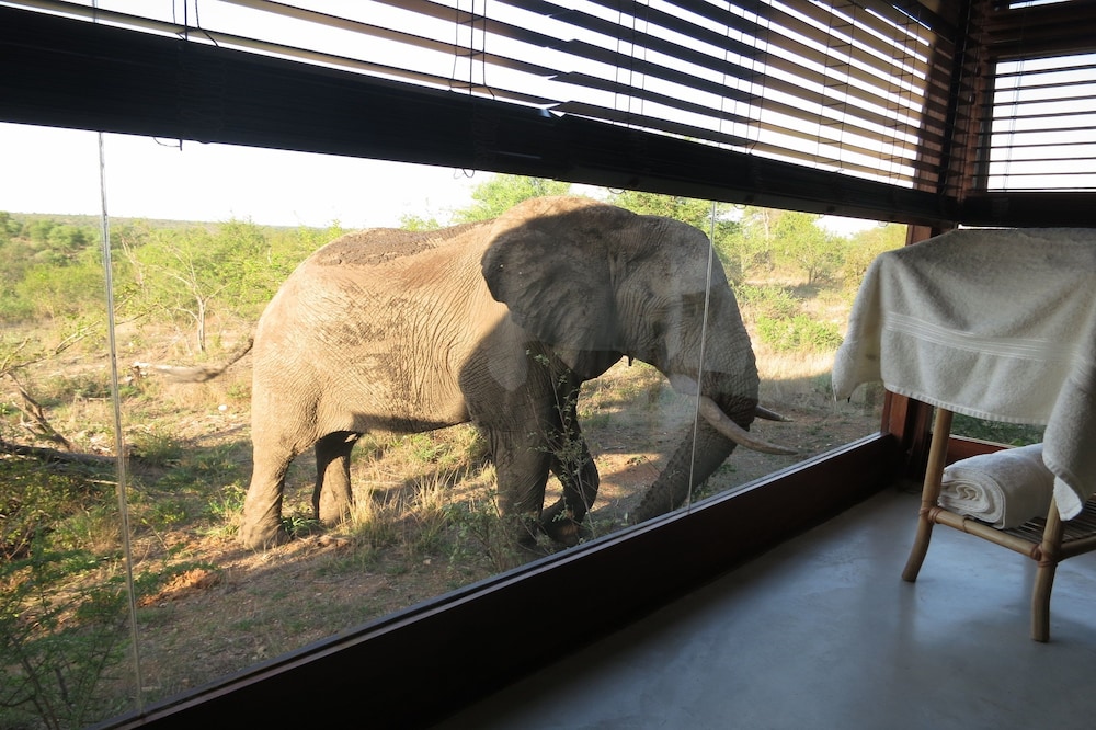 Ndebele King Suite photo 2
