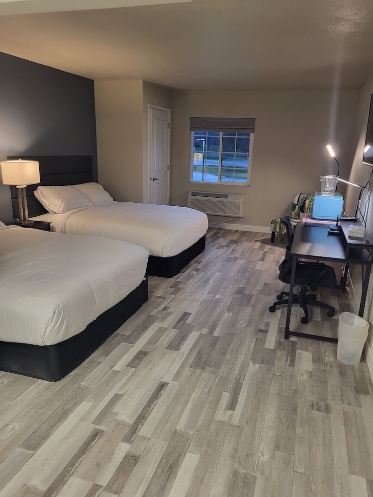 Single Room photo 1