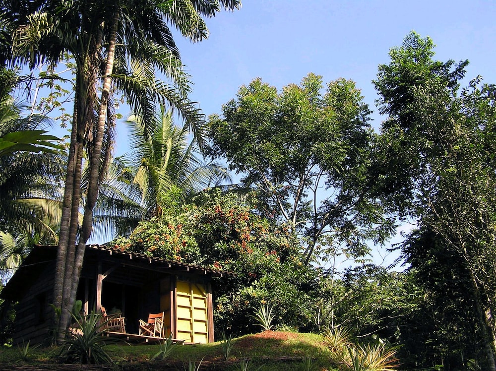 Bungalow, Non Smoking, Garden View photo 3