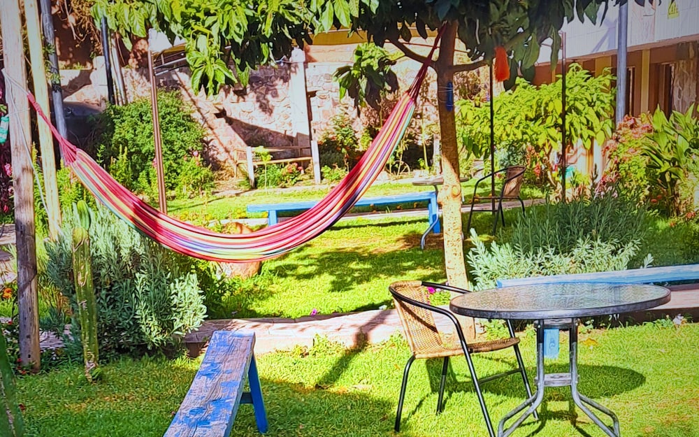 Deluxe Single Room, Garden View photo 2