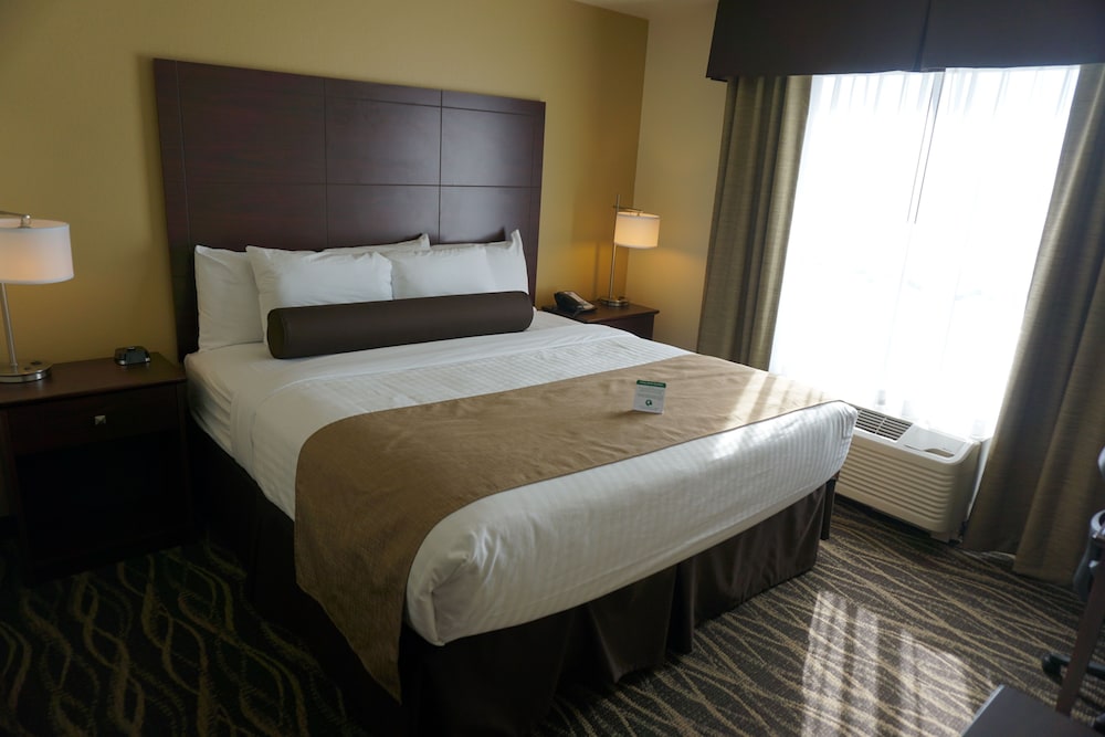 Studio, 1 King Bed with Sleeper Sofa, Audible/Visual Accessible, Non Smoking photo 2