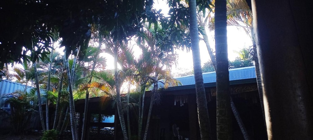 Shared Dormitory, 1 Bedroom, Smoking, Balcony photo 3