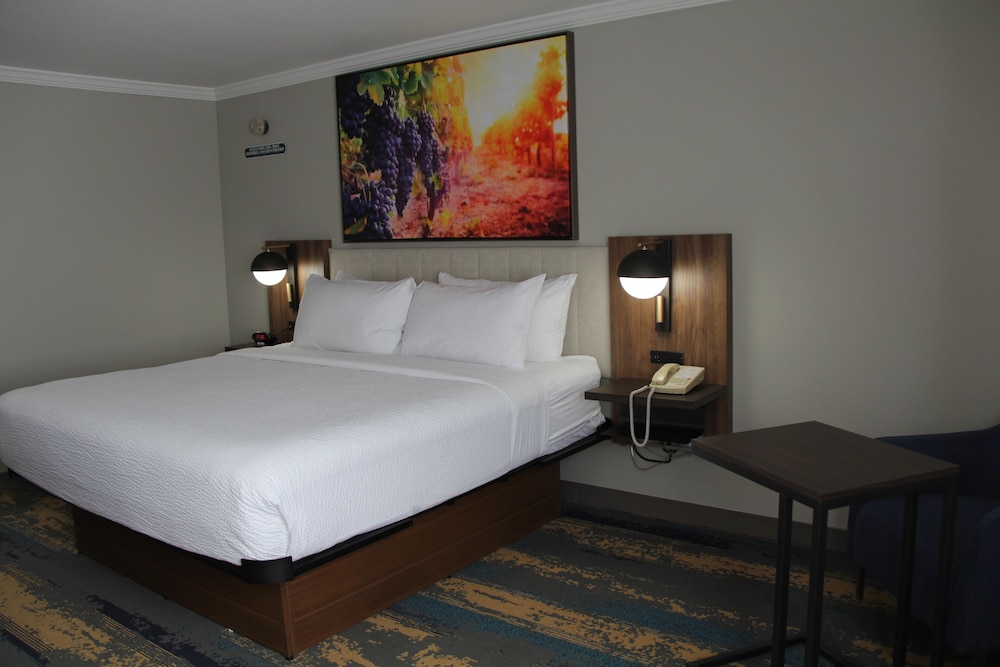Room, 1 King Bed, Non Smoking - Photo 4