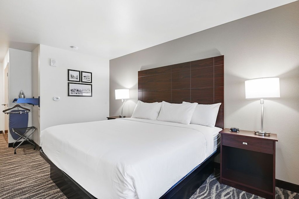 Room, 1 King Bed, Non Smoking (with Audible/Visual Alert) - Photo 4