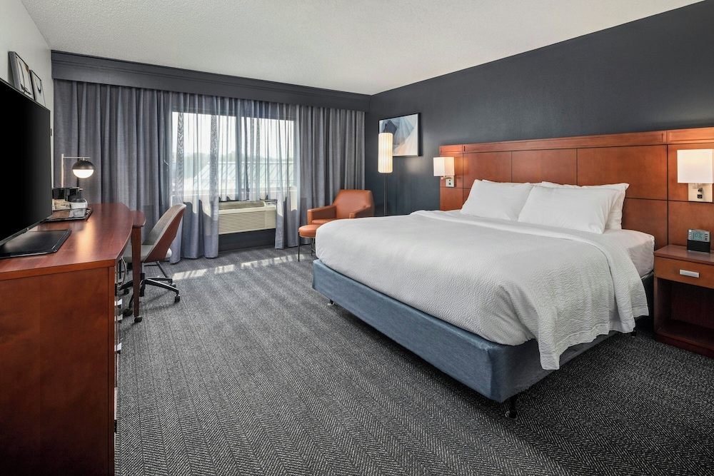 Room, 1 King Bed, City View (Mobility/Hearing Access, Roll-In Shwr) - Photo 2