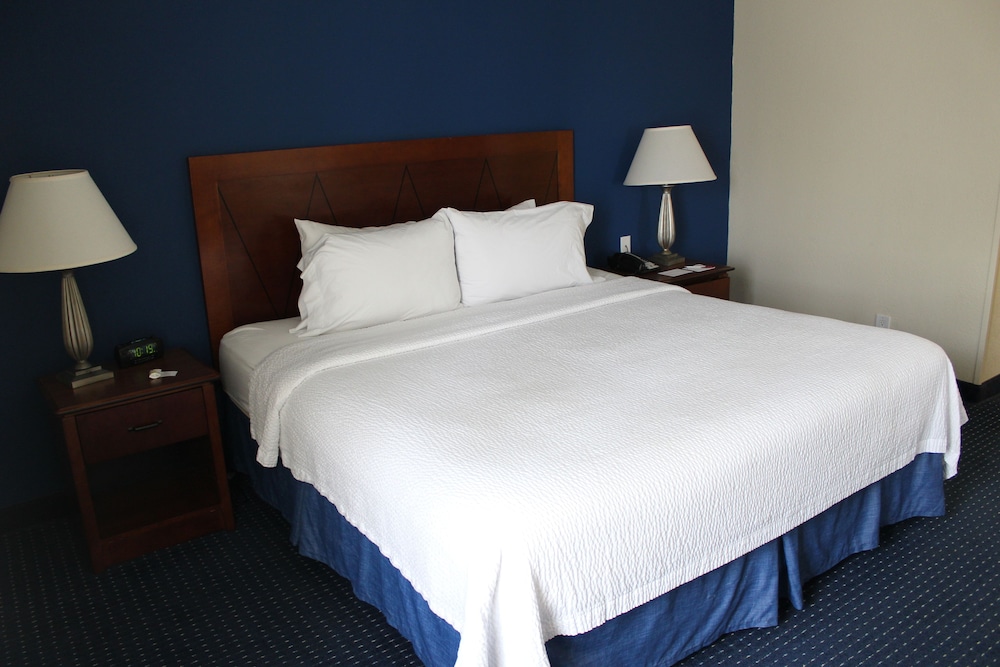Junior Studio Suite, 1 King Bed, Kitchen photo 2