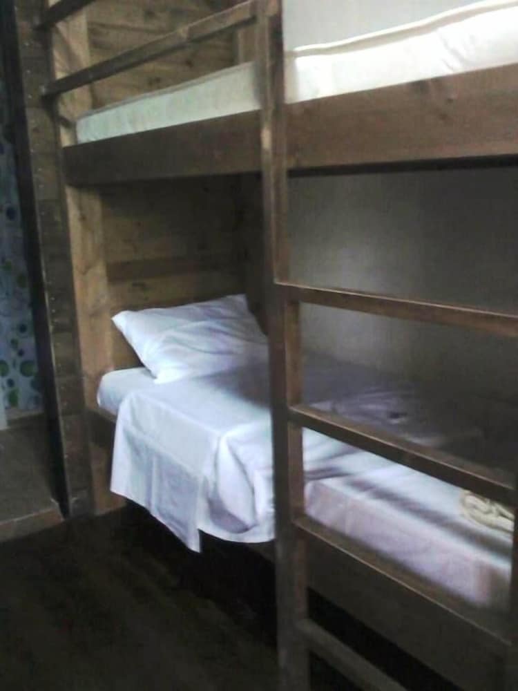 Basic Shared Dormitory, Garden View