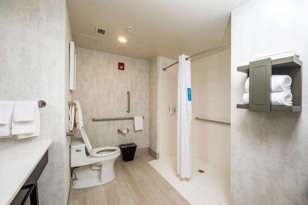 Room, 1 King Bed, Accessible (Mobility & Hearing, 3x3 Shower) - Photo 2