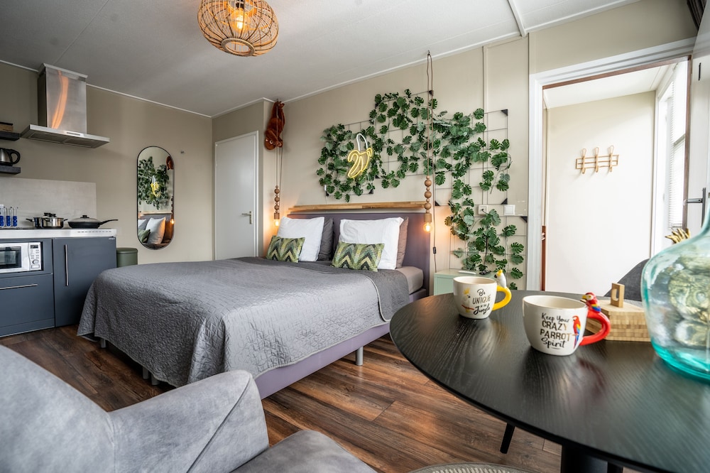 Deluxe Studio Suite photo 1