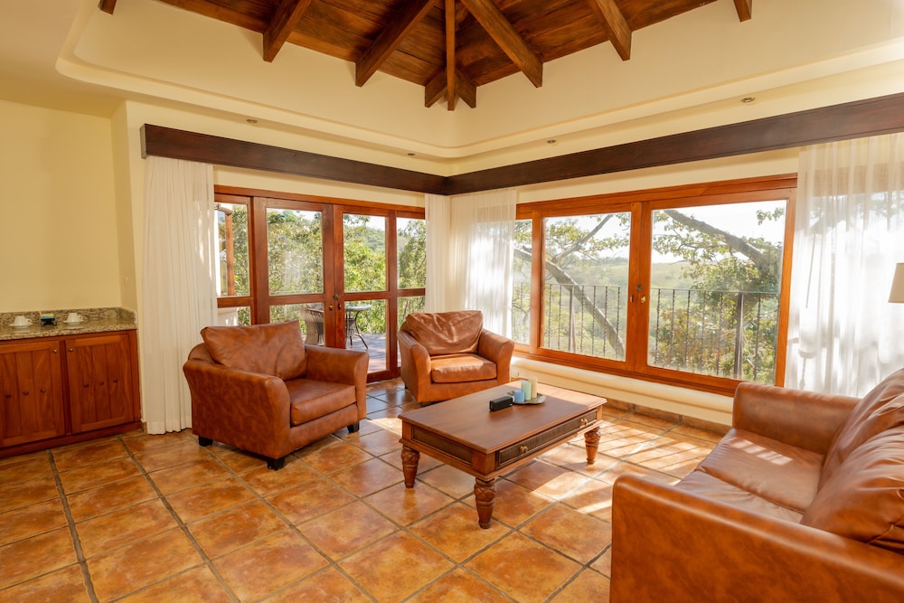 Junior Suite, 1 King Bed, Terrace, Mountain View photo 2