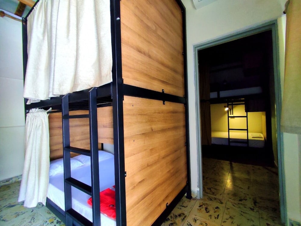 Standard Shared Dormitory photo 2