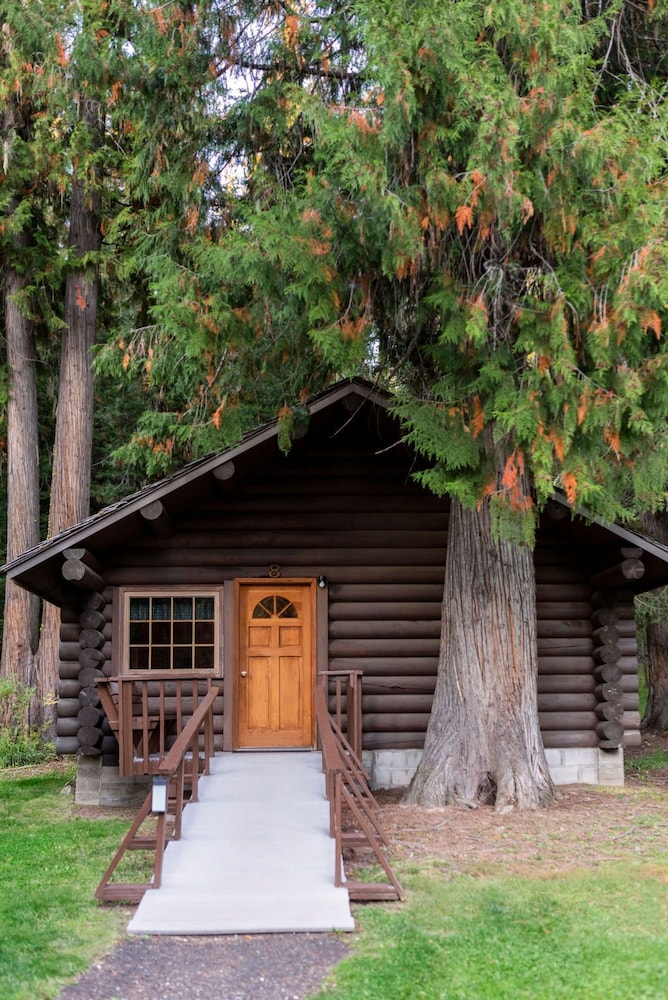 Premium Cabin, 2 Queen Beds, Accessible, Fireplace photo 1