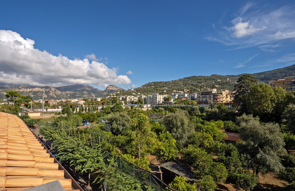 Deluxe Room, Balcony, Garden View - Photo 6