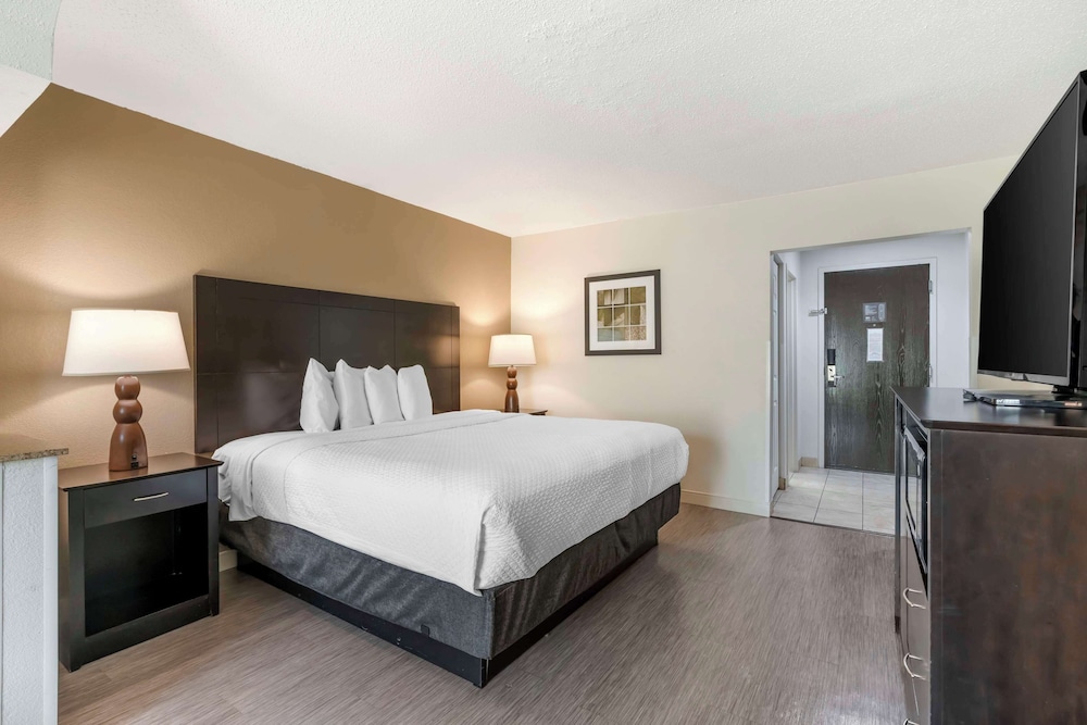 Suite, 1 King Bed, Non Smoking, Refrigerator & Microwave (with Sofabed) - Photo 2