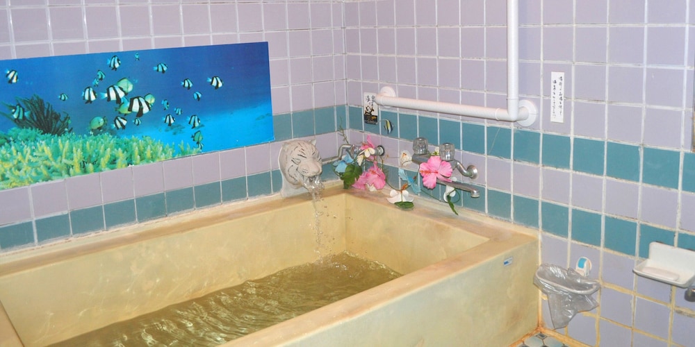 Japanese and Western Room photo 2
