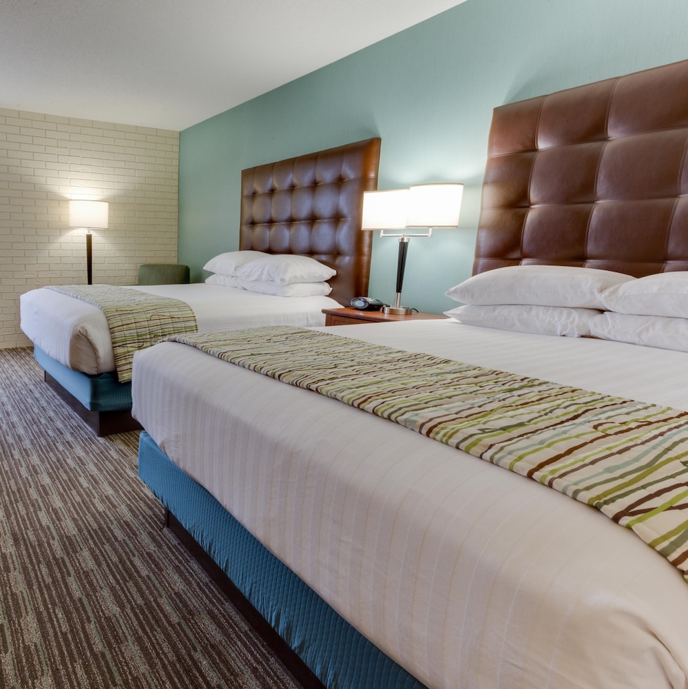 Suite, Multiple Beds, Refrigerator & Microwave (Upper Floor, 2 Rooms, Sofabed) photo 2
