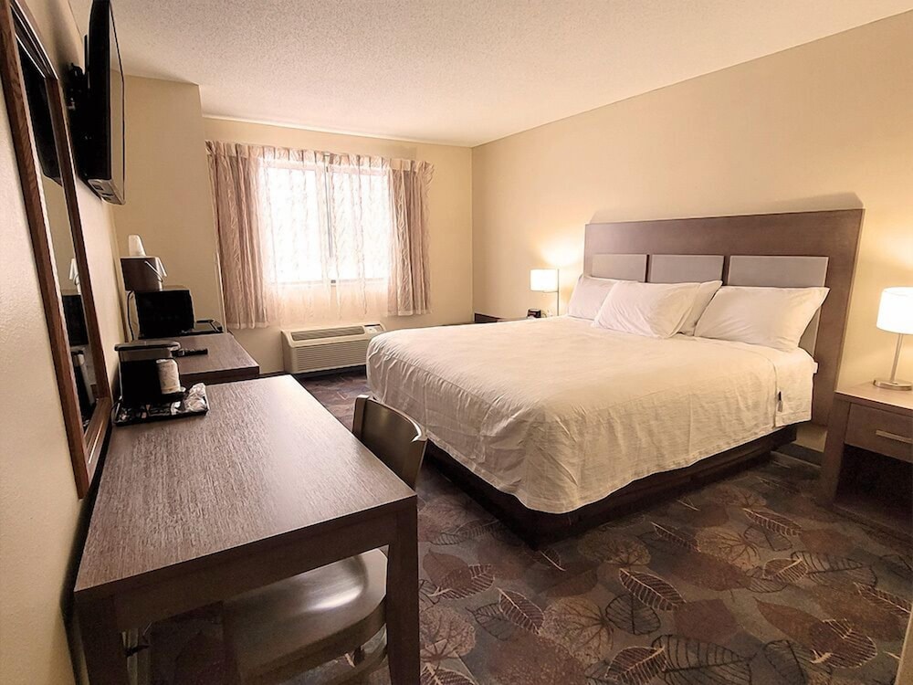Room, 1 King Bed, Accessible (Stardust) photo 3