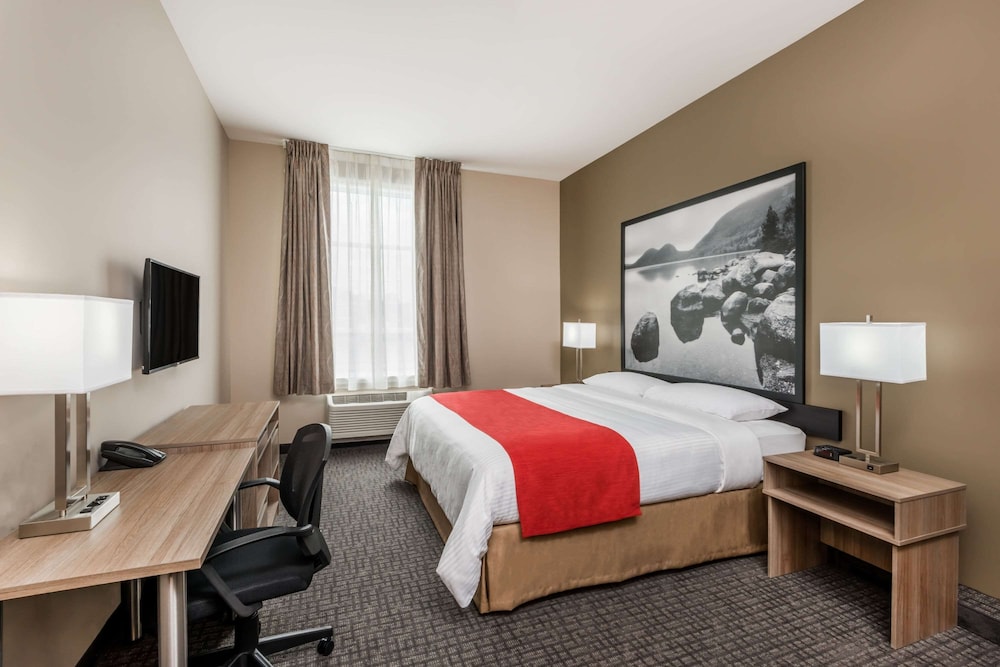 Room, 1 Queen Bed, Accessible, Non Smoking photo 3