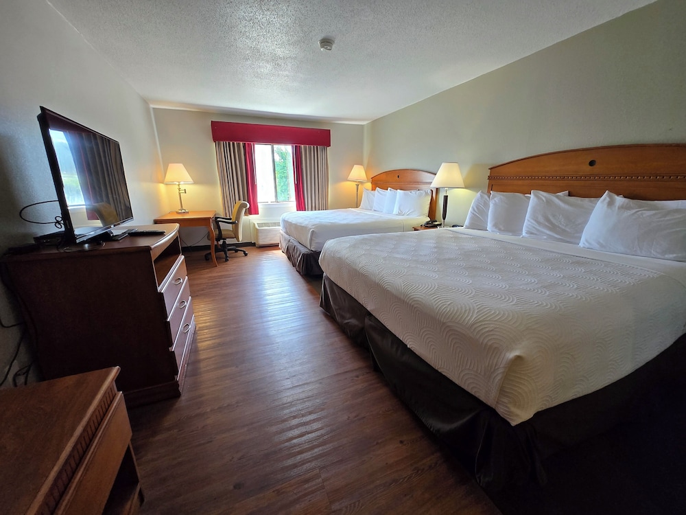 Family Quadruple Room, Multiple Beds photo 3