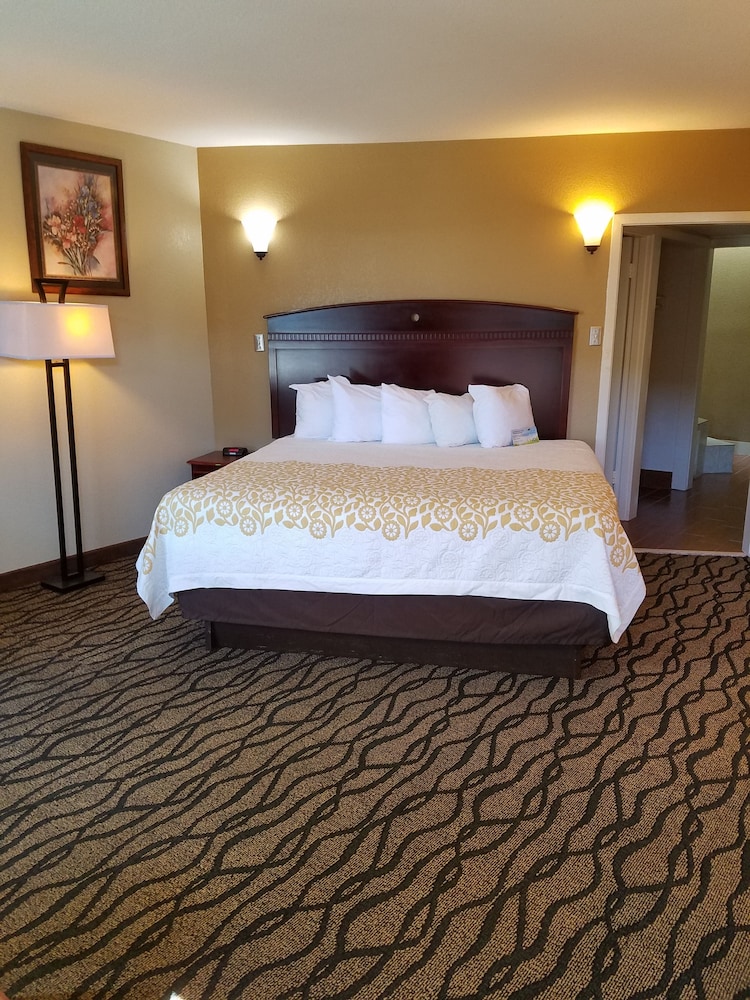 Studio Suite, 1 King Bed, Smoking - Photo 8