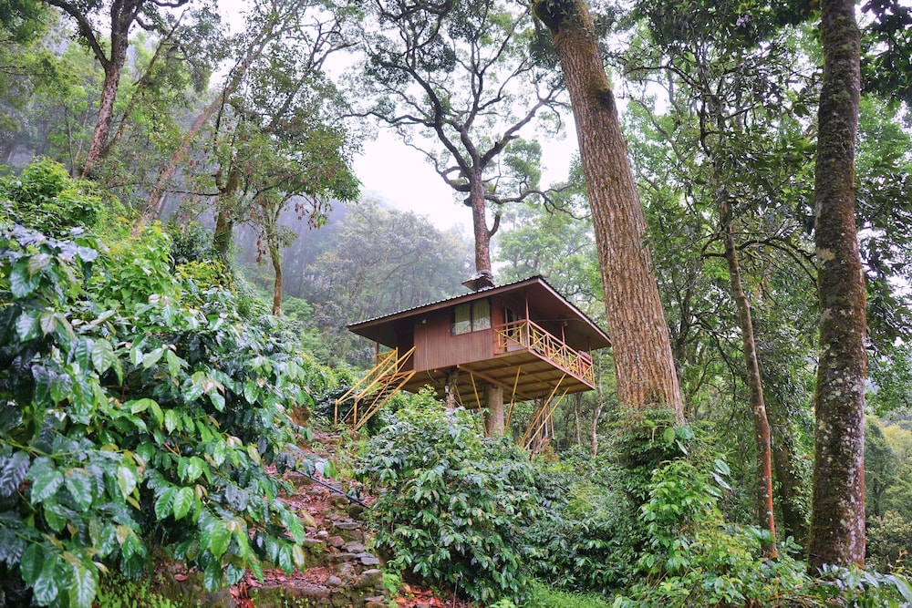 Deluxe Tree House, Balcony, Mountain View