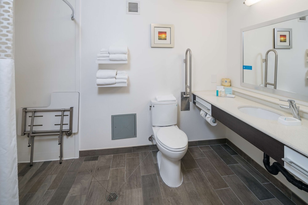 Room, 1 King Bed, Accessible (Roll-In Shower)