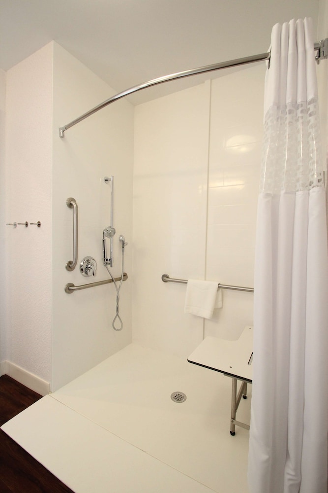 Room, 1 King Bed, Accessible, Non Smoking (Roll In Shower)