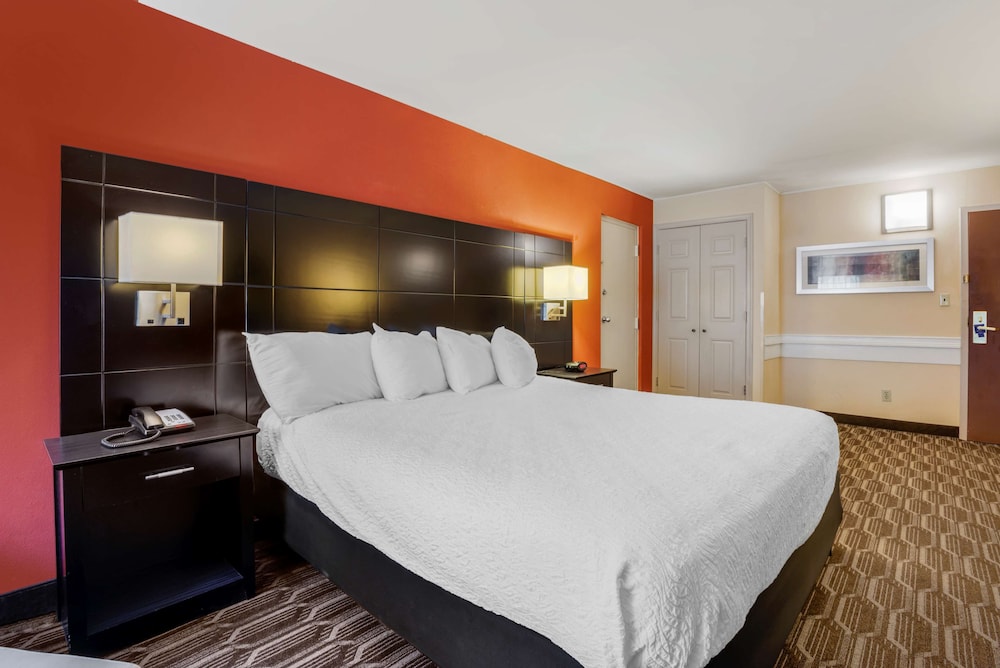 Standard Room, 1 King Bed, Non Smoking, Refrigerator & Microwave (Shower Only) - Photo 4