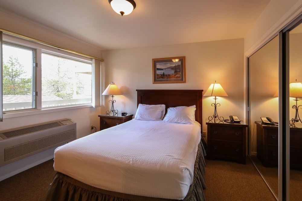 Deluxe Condo, 1 Queen Bed with Sofa bed