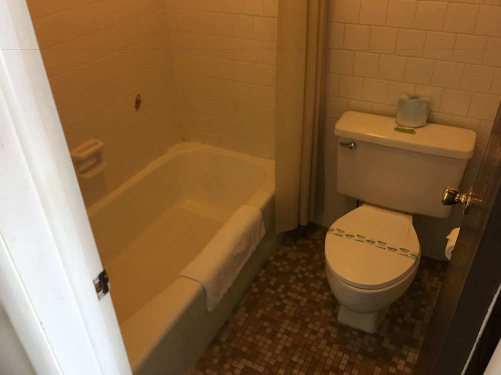 Elite Single Room, 1 Queen Bed, Mountain View photo 3