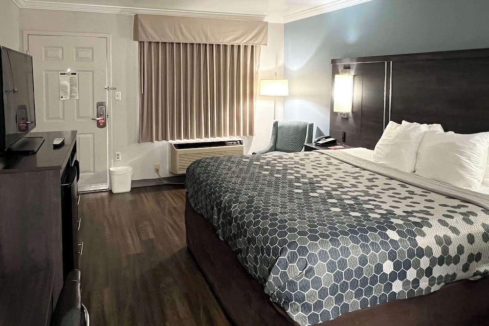 Standard Room, 1 King Bed, Accessible, Non Smoking - Photo 2