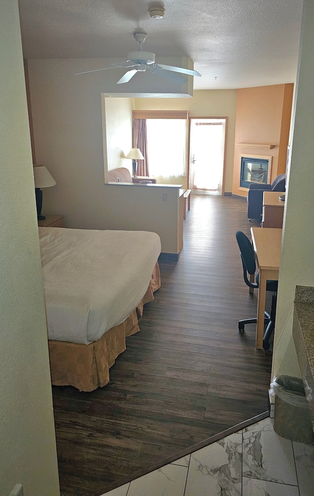 Family Suite, 1 King Bed w/ 2 sets of child size bunk beds, Dune View (Dog Friendly Room) photo 1