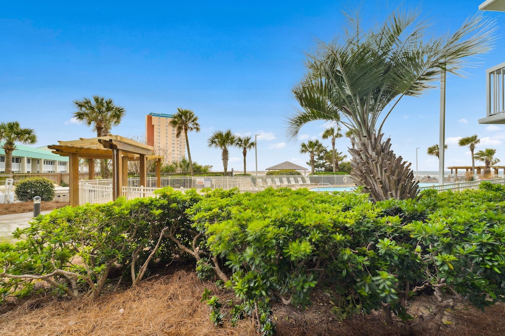 Condo, 2 Bedrooms, Pool View (Pelican 114), photo 6