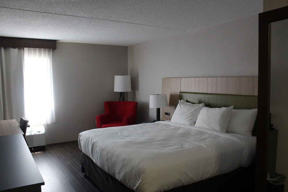 Suite, 1 King Bed, Non Smoking photo 3