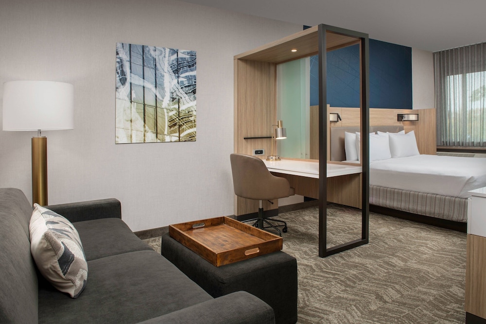 Studio Suite, 1 King Bed - Photo 10