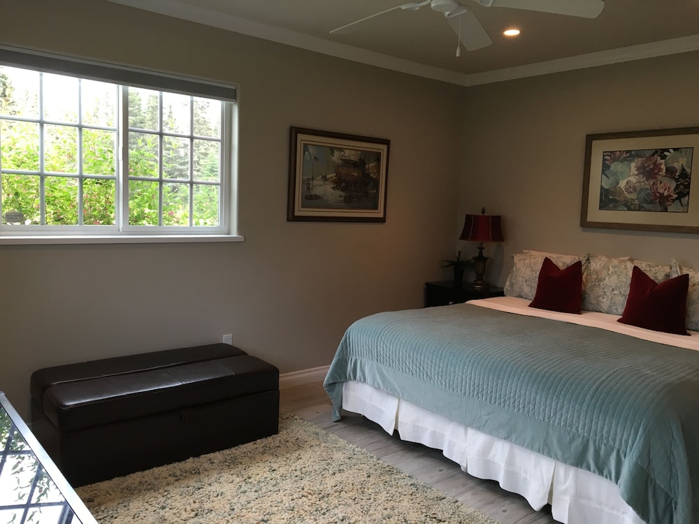 Luxury Single Room, 1 King Bed photo 2