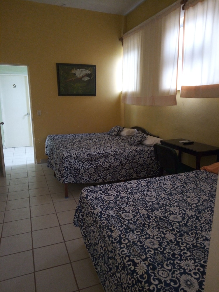 Double or Twin Room photo 1