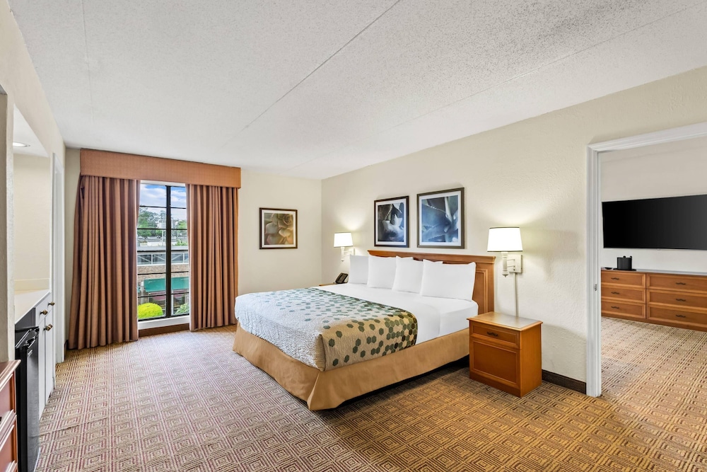 Suite, 1 King Bed with Sofa bed, Non Smoking - Photo 1