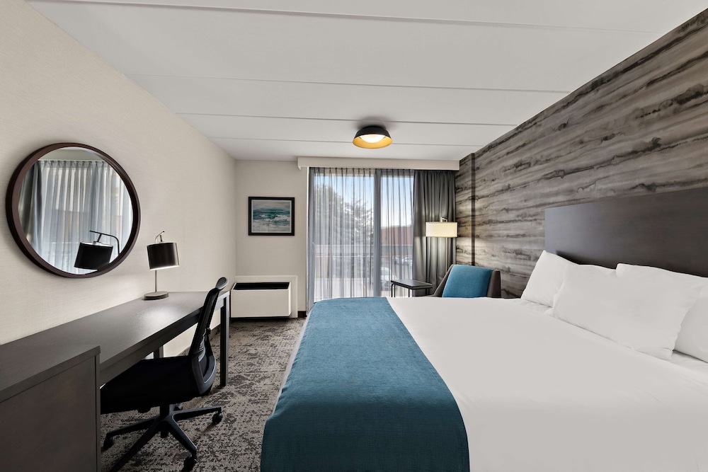 Standard Room, 1 King Bed, Accessible, Refrigerator & Microwave - Photo 5