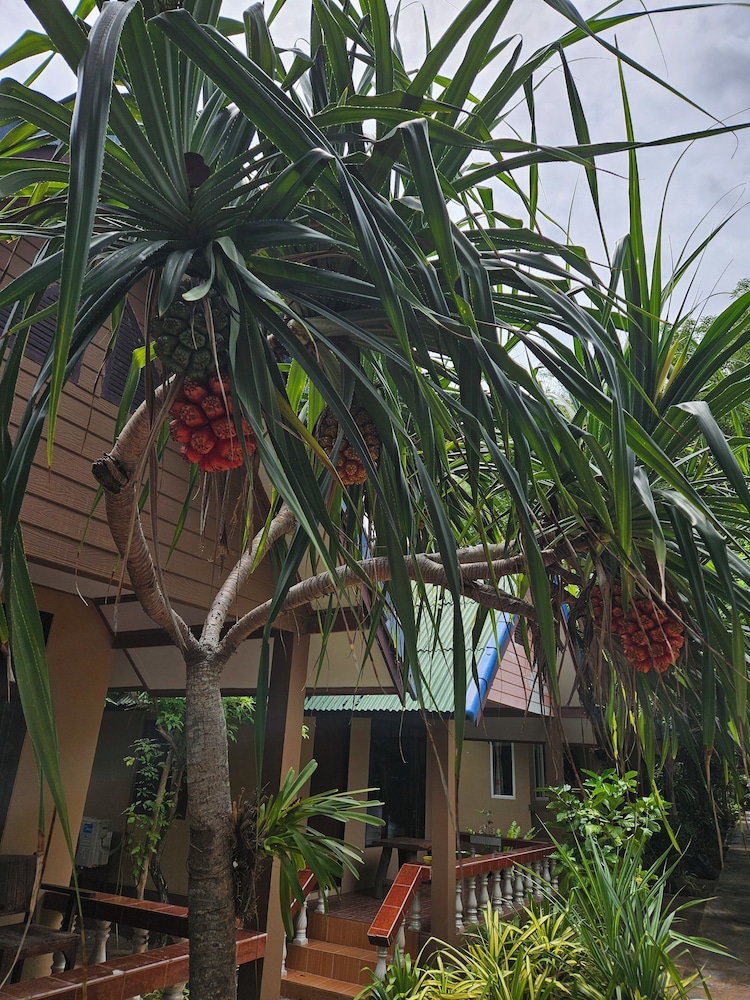 Deluxe Bungalow, Ocean View - Photo 4