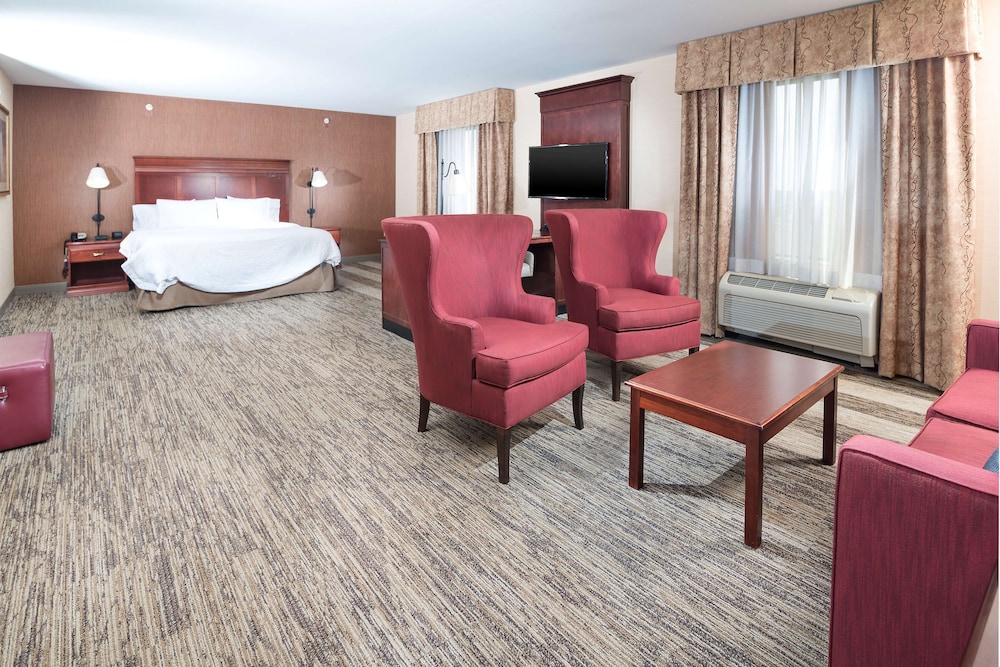 Room, 1 King Bed, Accessible - Photo 4
