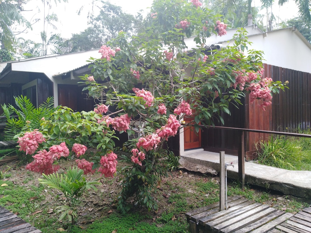 Superior Twin Room, Garden View photo 3